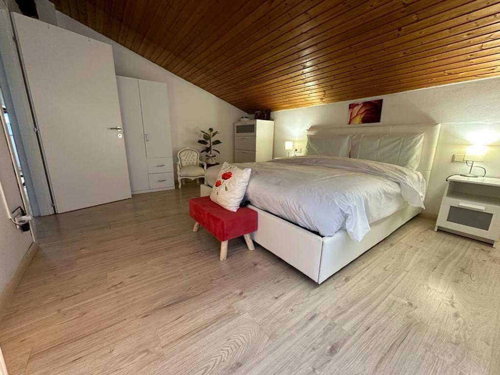 Plose Panorama House Apartment เบรสซาโนเน ภายนอก รูปภาพ